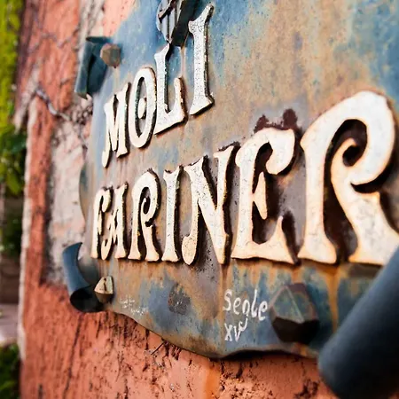 Moli Fariner
