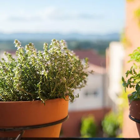 Moli Fariner 乡村民宿 *