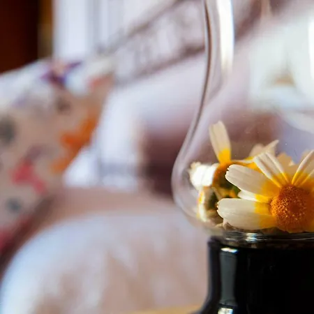 乡村民宿 Moli Fariner *