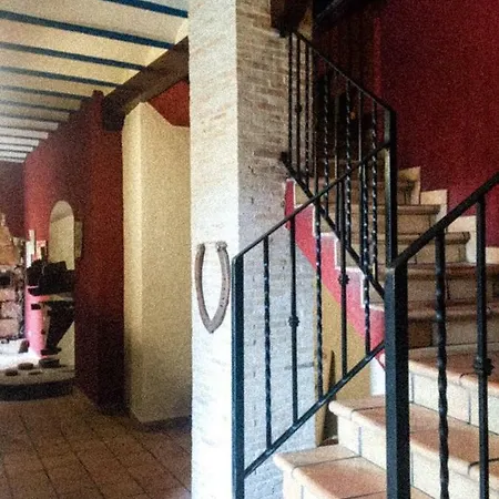 Moli Fariner * Agullent