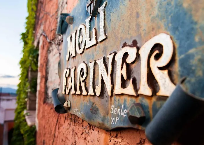Moli Fariner